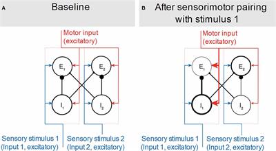 Neural Substrates and Models of Omission Responses and Predictive Processes